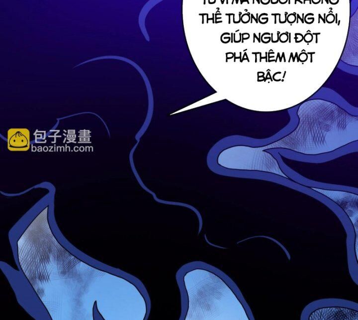 Hệ Thống Thăng Cấp Điên Cuồng Chương 52 Page 19