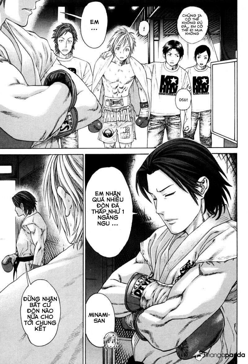 Karate Shoukoushi Kohinata Minoru Chương 322 Page 17