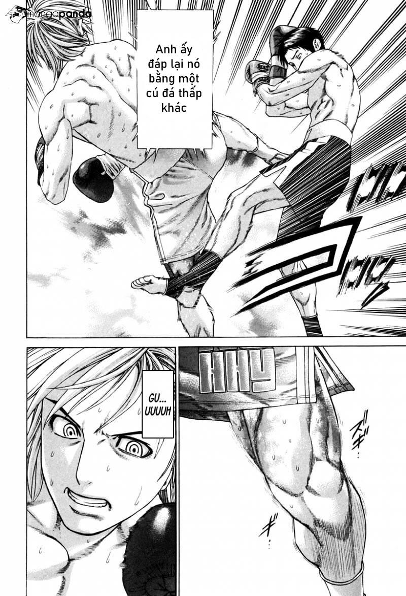 Karate Shoukoushi Kohinata Minoru Chương 322 Page 2