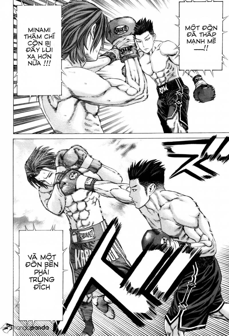 Karate Shoukoushi Kohinata Minoru Chương 325 Page 10