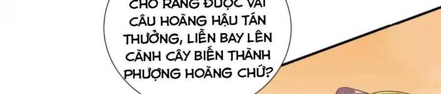 Nam Thần Ai Cũng Muốn Lấy Ta Chương 28 Page 11