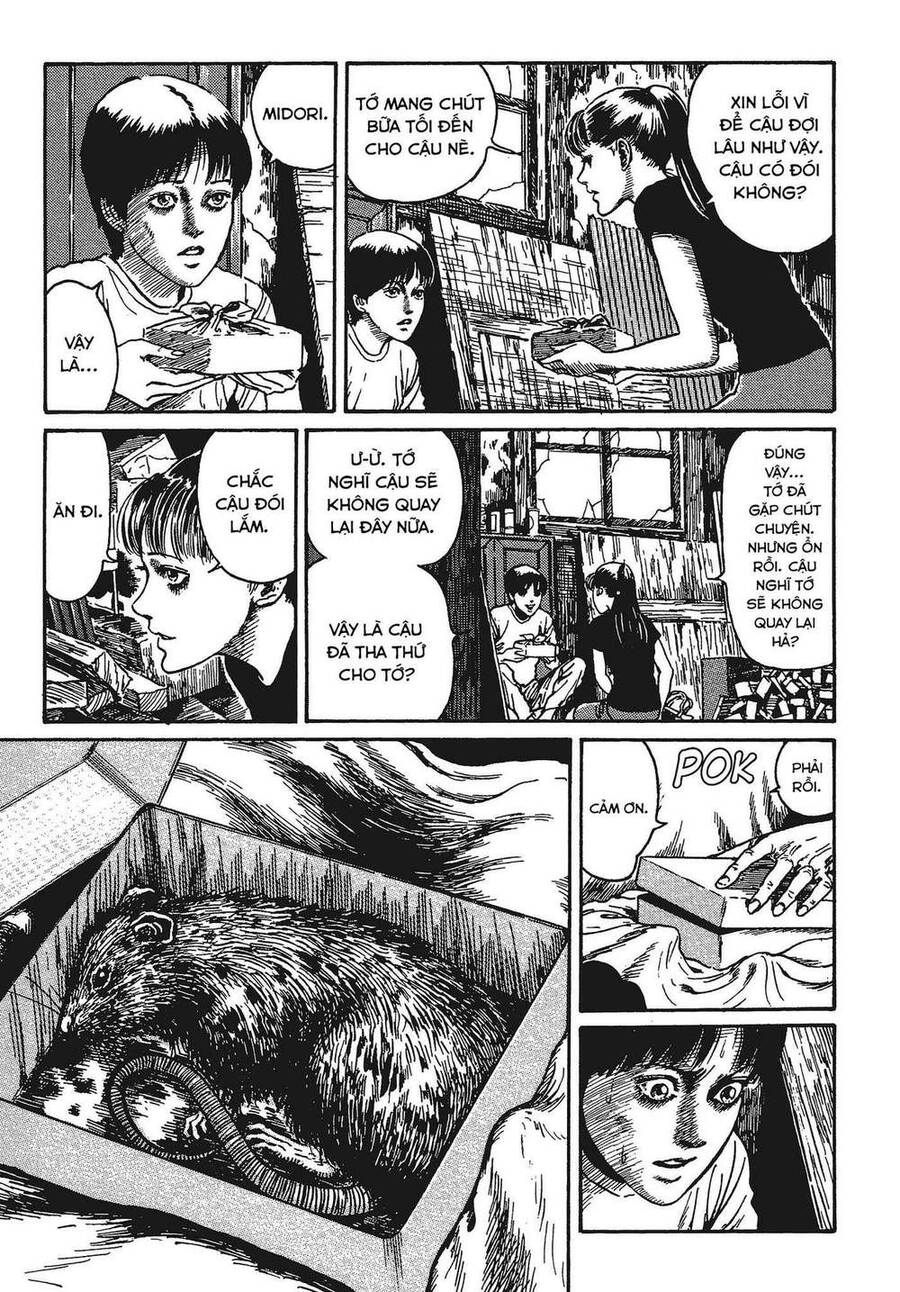 Tình Yêu: Tuyển Tập Câu Chuyện Của Junji Ito Chương 4 Page 16