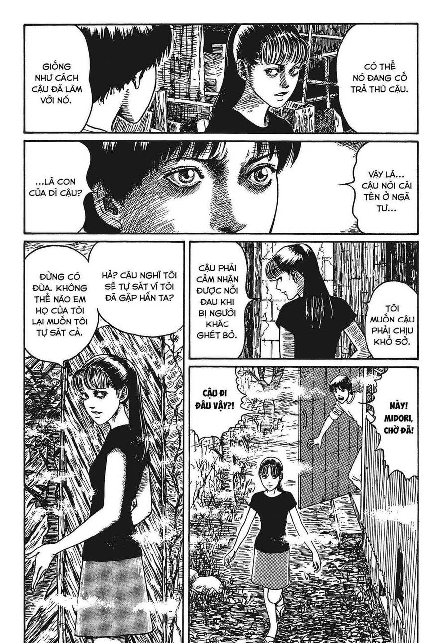 Tình Yêu: Tuyển Tập Câu Chuyện Của Junji Ito Chương 4 Page 19