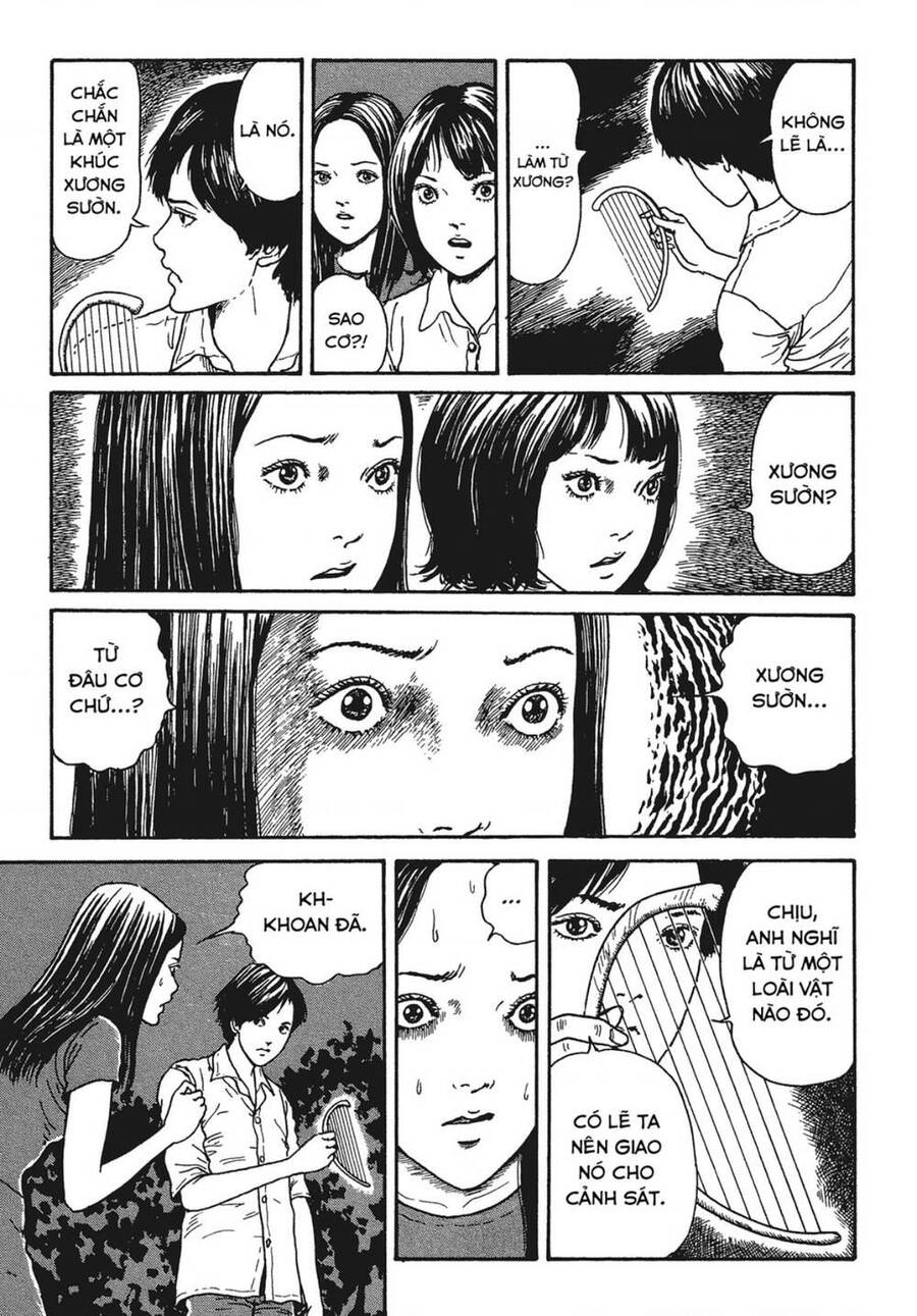 Tình Yêu: Tuyển Tập Câu Chuyện Của Junji Ito Chương 9 Page 16