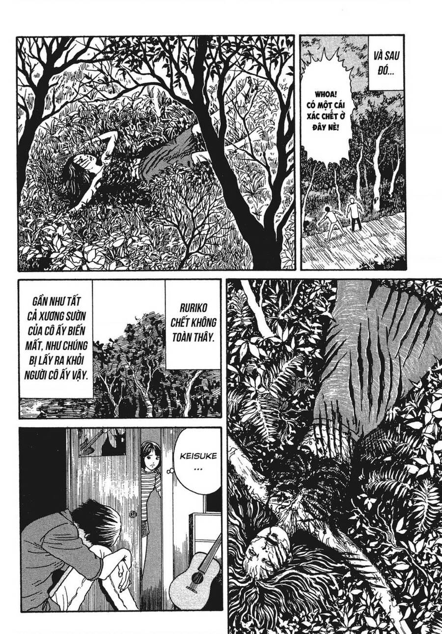 Tình Yêu: Tuyển Tập Câu Chuyện Của Junji Ito Chương 9 Page 18