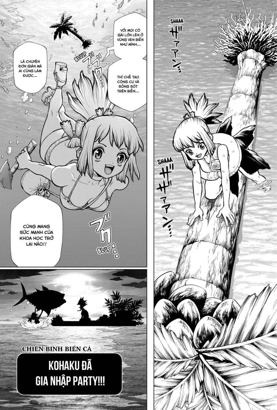 Dr.stone Chương 232.6 Page 23