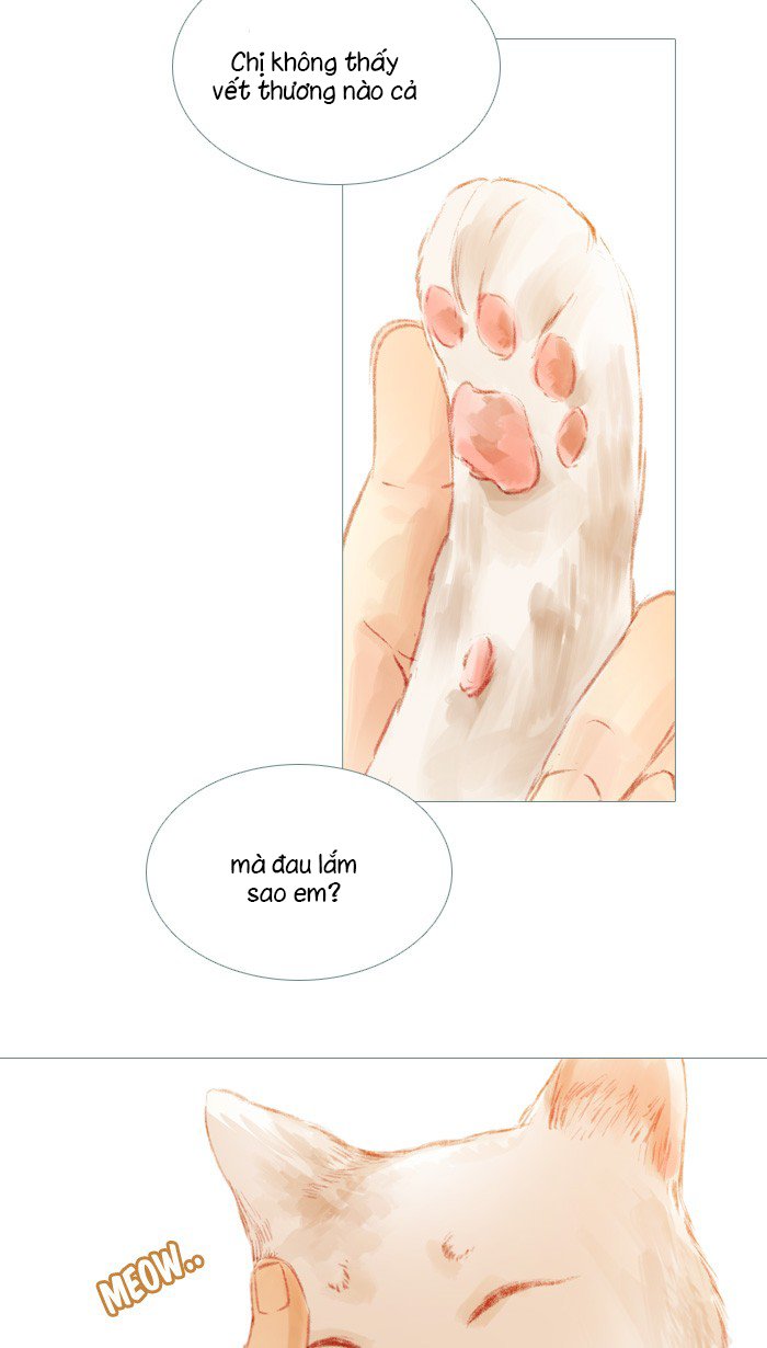 Little Rain Chương 22 Page 19