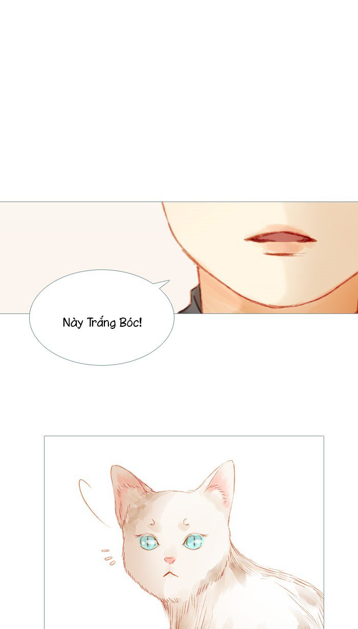 Little Rain Chương 22 Page 21