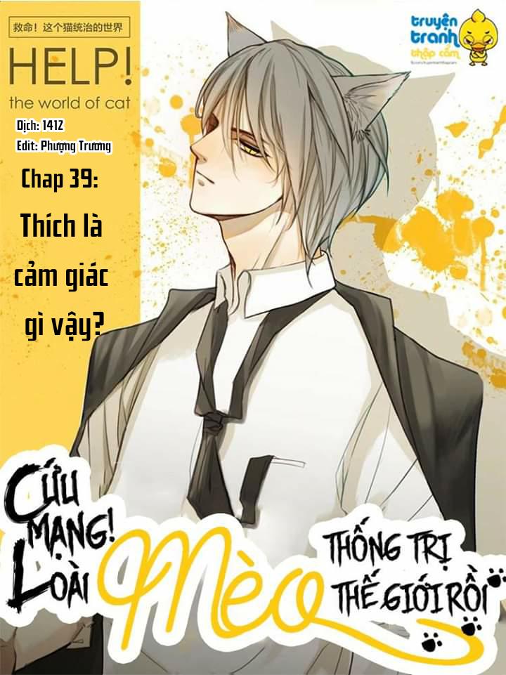 Cứu Mạng! Loài Mèo Thống Trị Thế Giới Rồi! Chương 39 Page 1