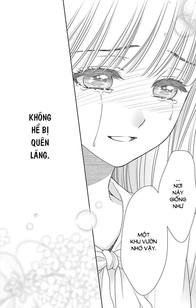 Nanoka No Kare Chương 84 Page 44