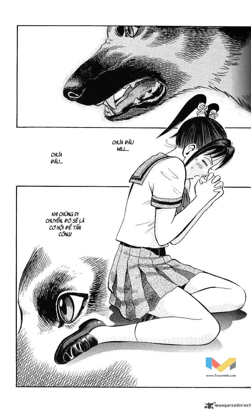 Animal Sense Chương 12 Page 25