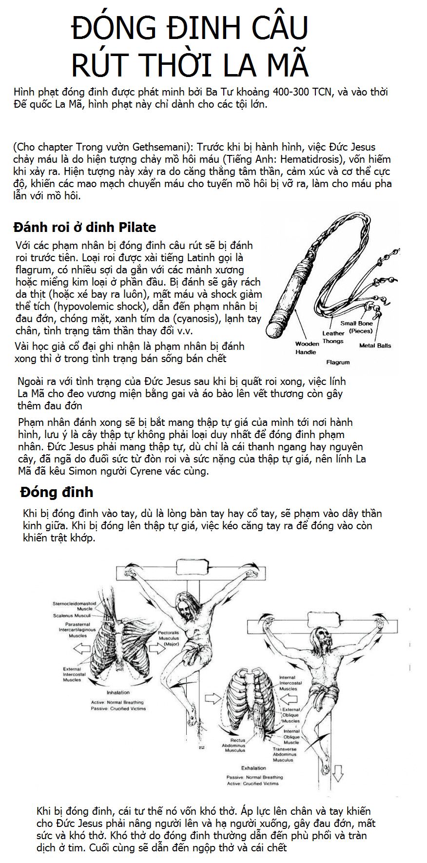 Thánh Kinh Truyện – Đấng Cứu Thế Chương 22 Page 15