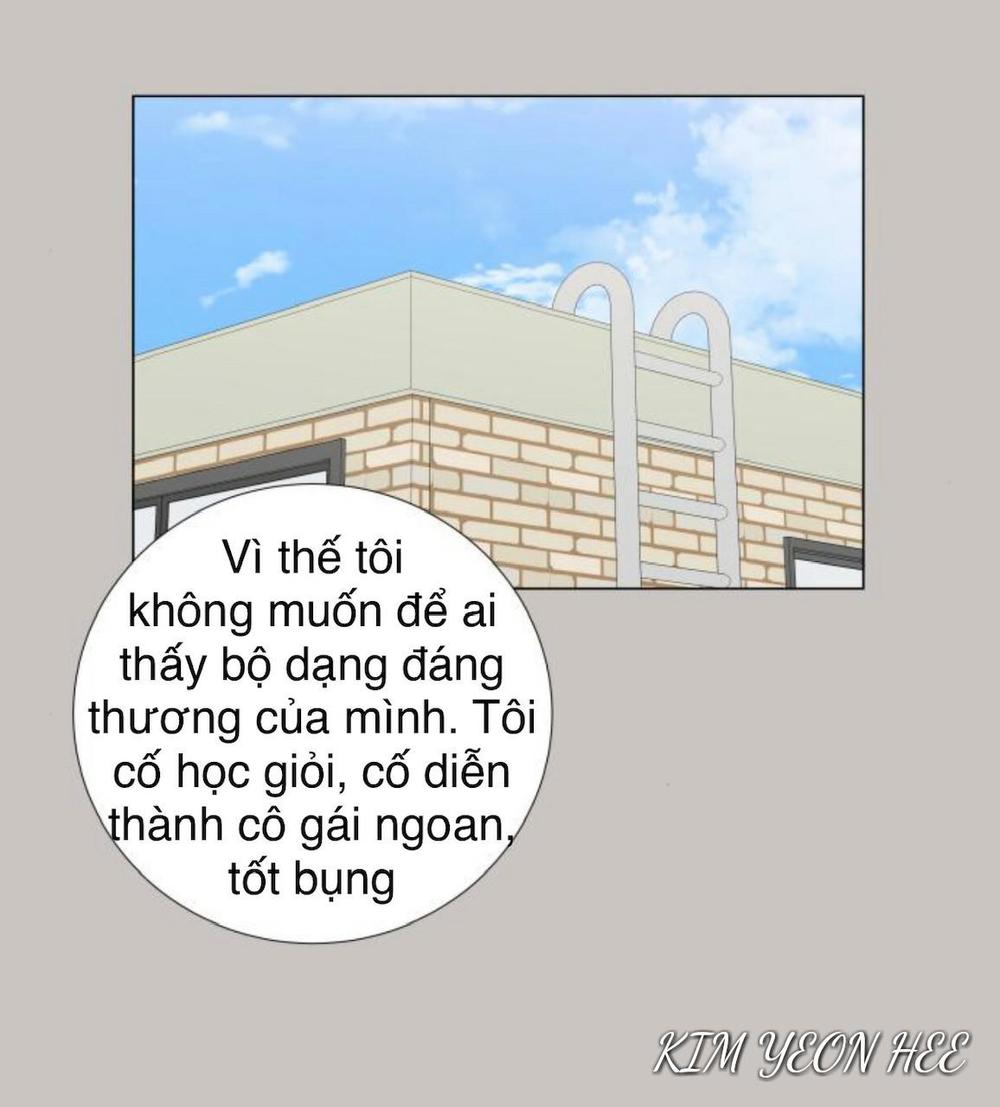 Idol Và Sếp Em Yêu Ai? Chương 148 Page 13