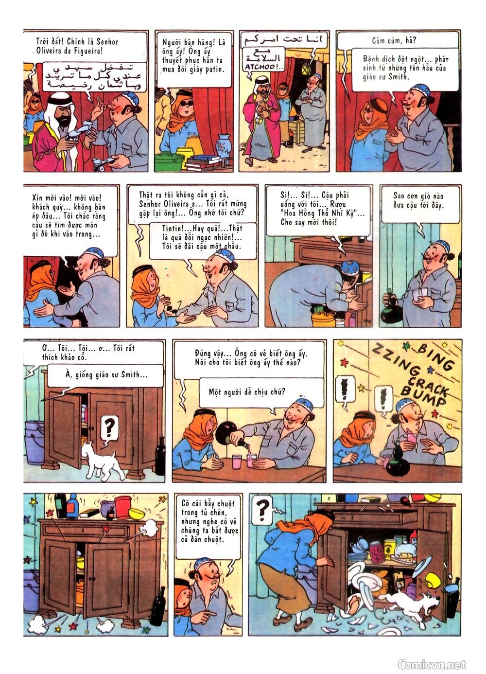 Những Cuộc Phiêu Lưu Của Tintin Chương 2 Page 11