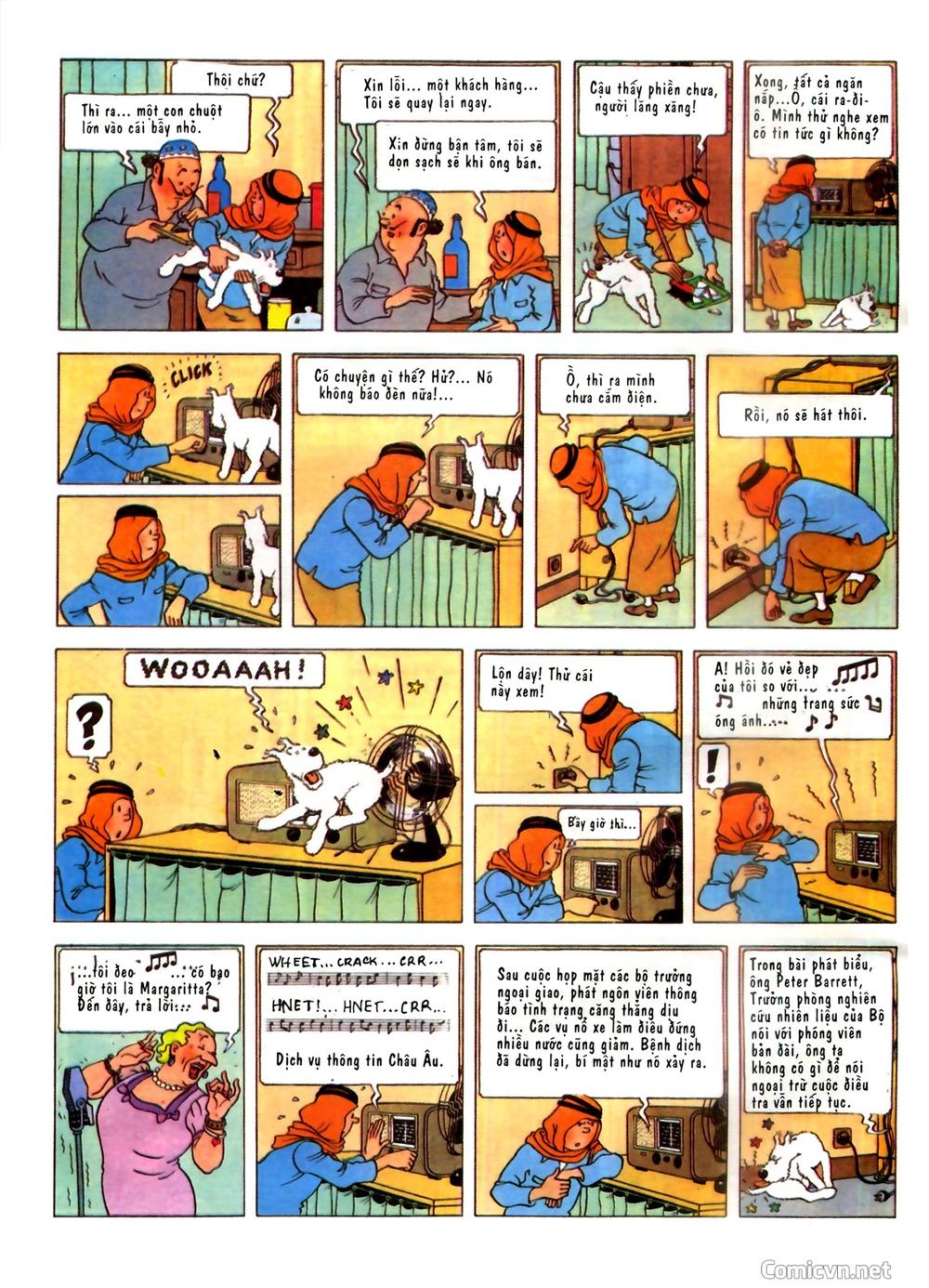 Những Cuộc Phiêu Lưu Của Tintin Chương 2 Page 12