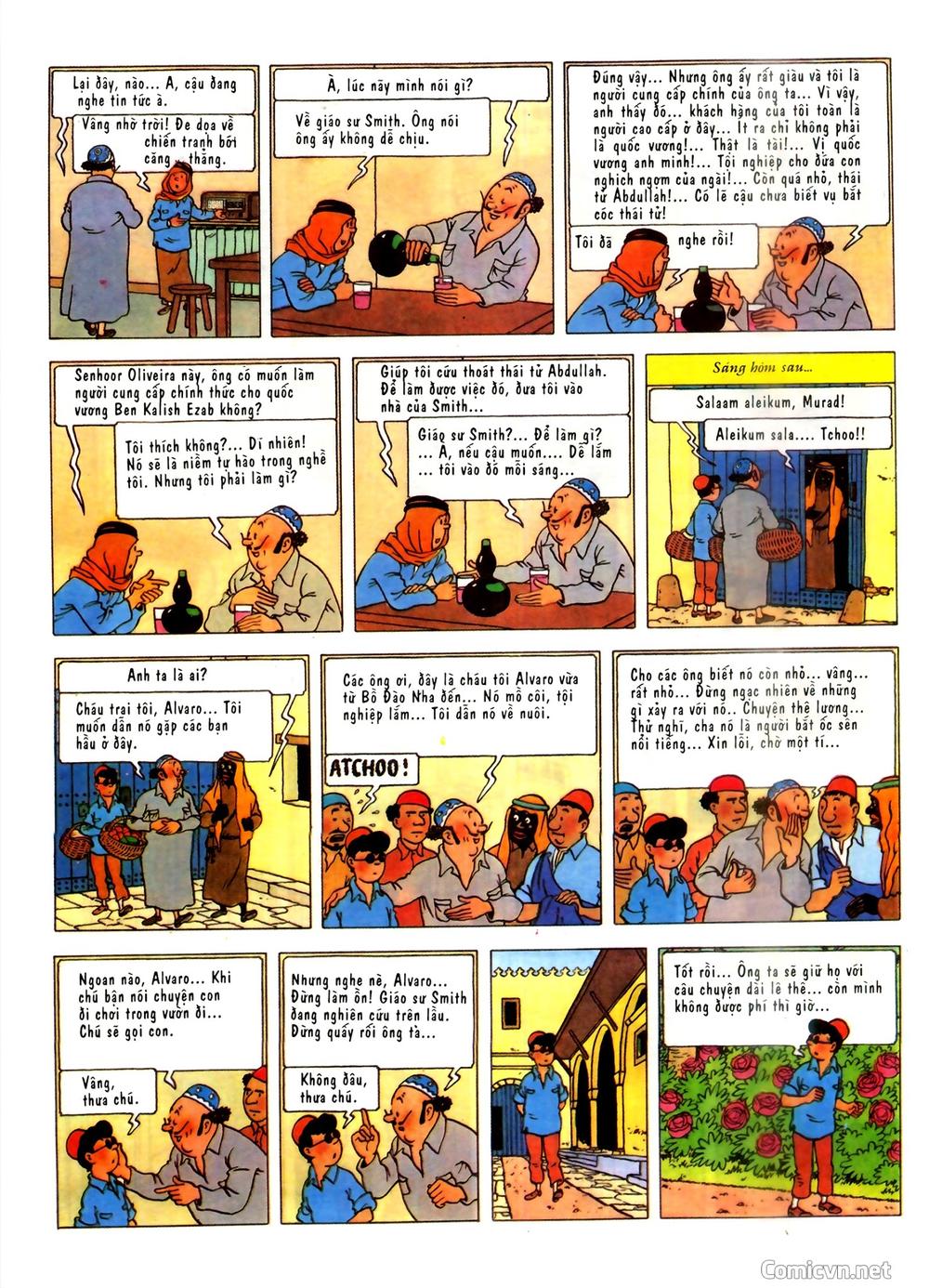 Những Cuộc Phiêu Lưu Của Tintin Chương 2 Page 13