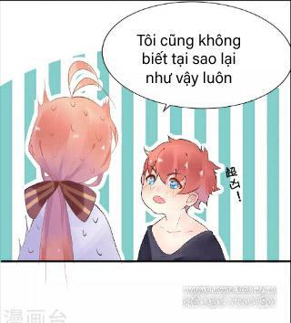 Người Yêu Ngọt Ngào Của Tôi Chương 4 Page 21