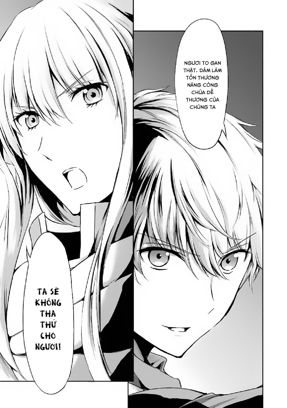 Dungeon Ni Deai Wo Motomeru No Wa Machigatte Iru Darou Ka Gaiden – Sword Oratoria Chương 13 Page 49