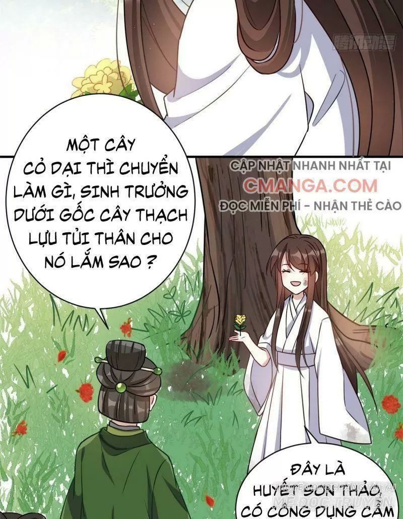 Thiều Quang Mạn Chương 22 Page 46