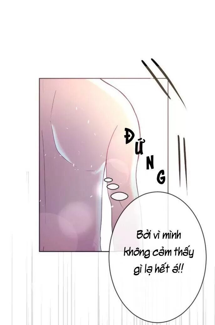 Sugar Pet Chương 27 Page 4