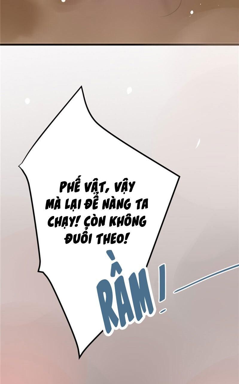 Trọng Sinh Đế Phi: Quyền Khuynh Thiên Hạ Chương 36 Page 5