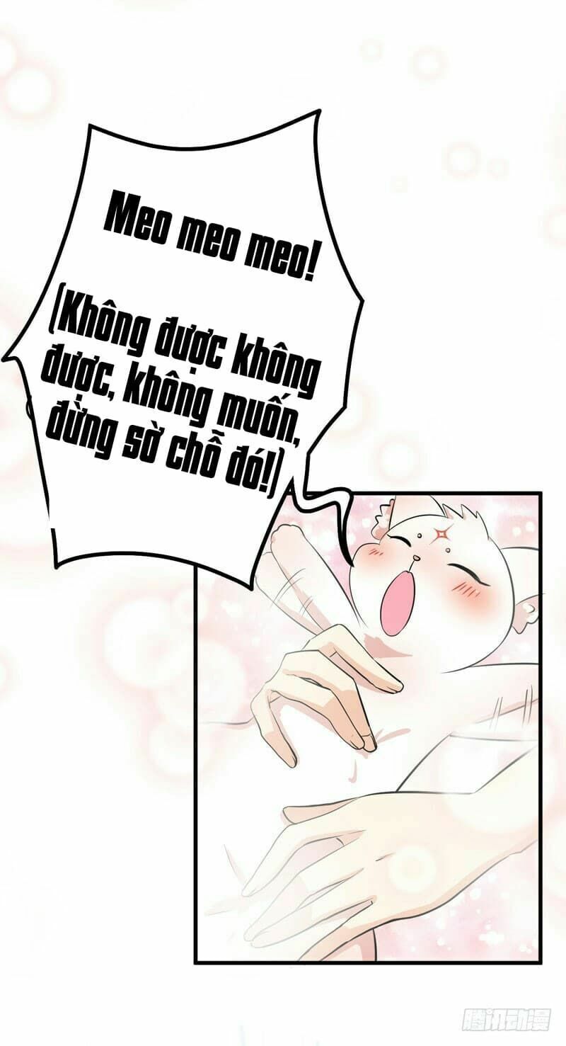 Chinh Phục Bạn Trai Sao Chổi Chương 4 Page 21