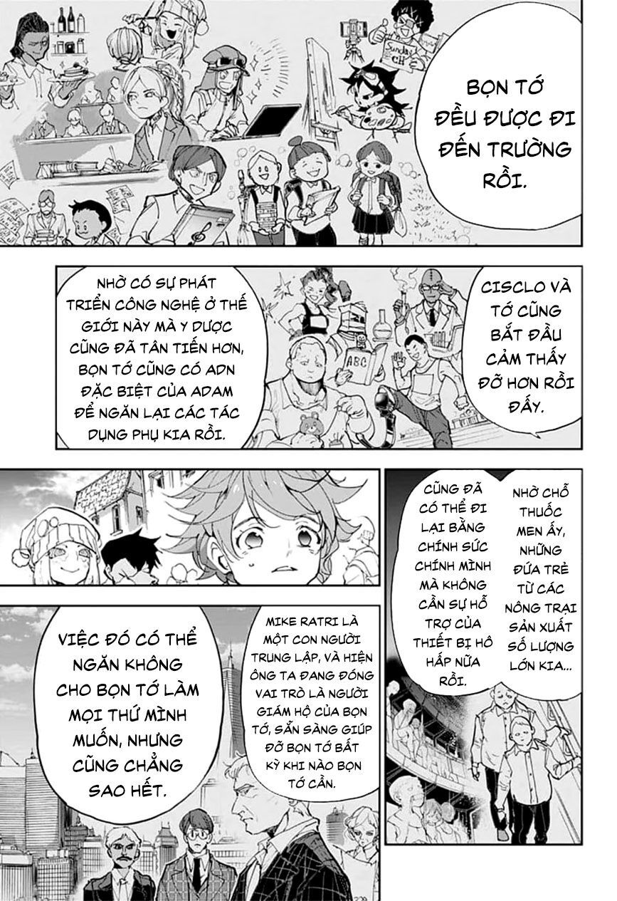 The Promised Neverland Chương 181 Page 20