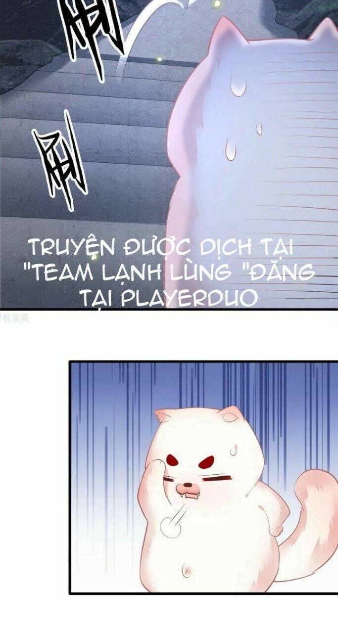 Con Đường Hoang Dã Của Vương Phi Chương 33 Page 16