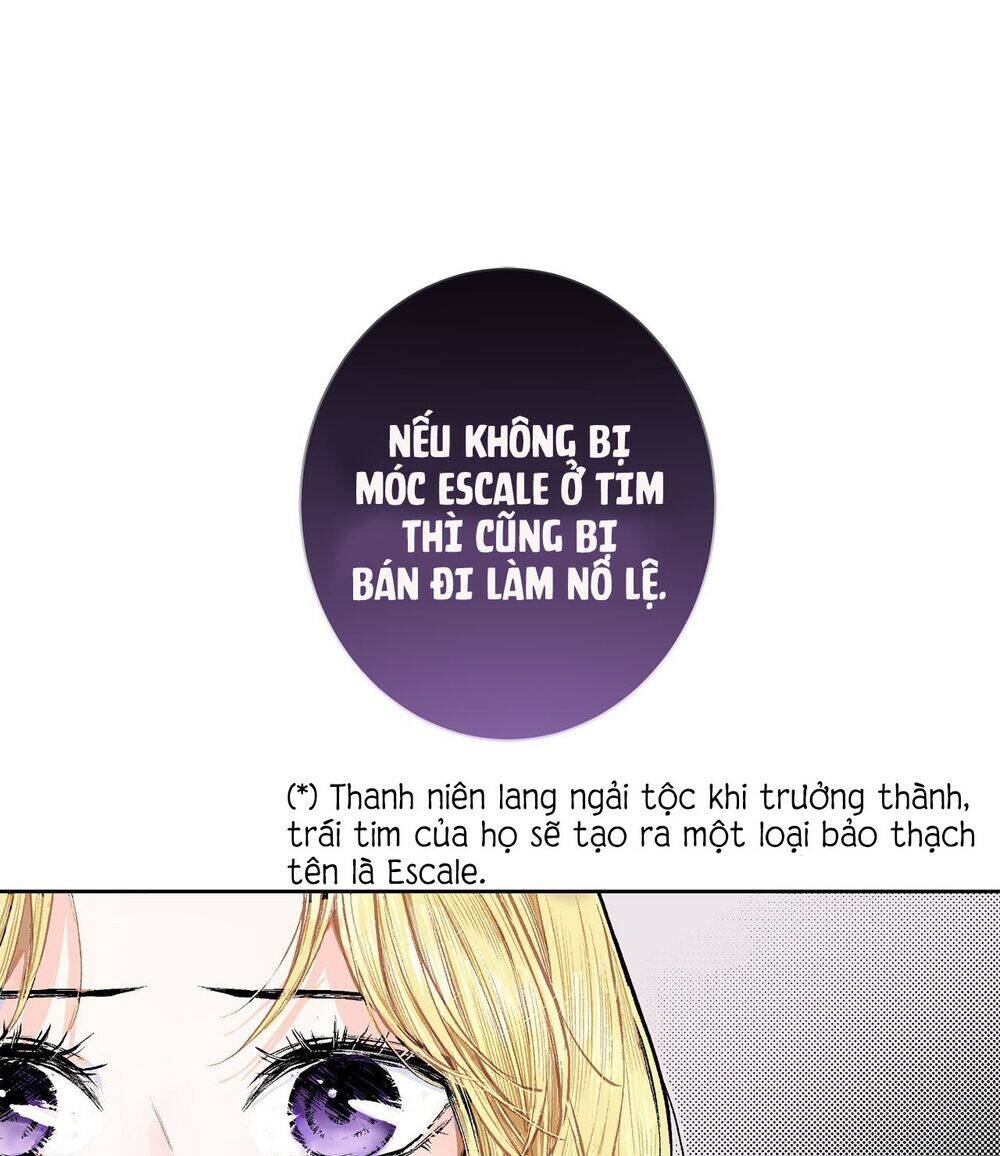 Cuộc Phản Công Của Nàng Hầu Chương 3 Page 24