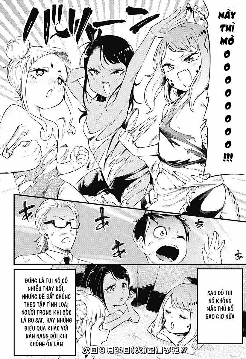 Hachuurui-Chan Wa Natsukanai Chương 15 Page 8