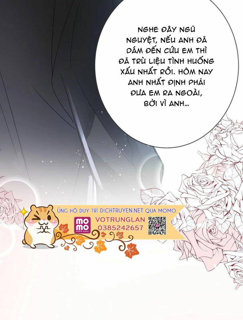 Em Là Bạc Hà Mèo Của Tôi Chương 51 Page 35