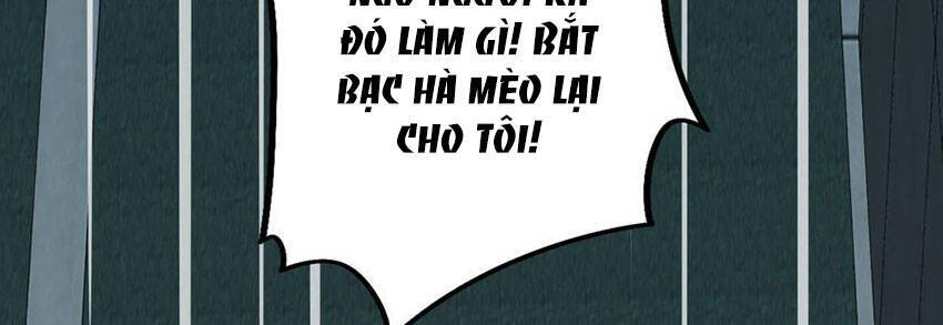 Em Là Bạc Hà Mèo Của Tôi Chương 52 Page 3