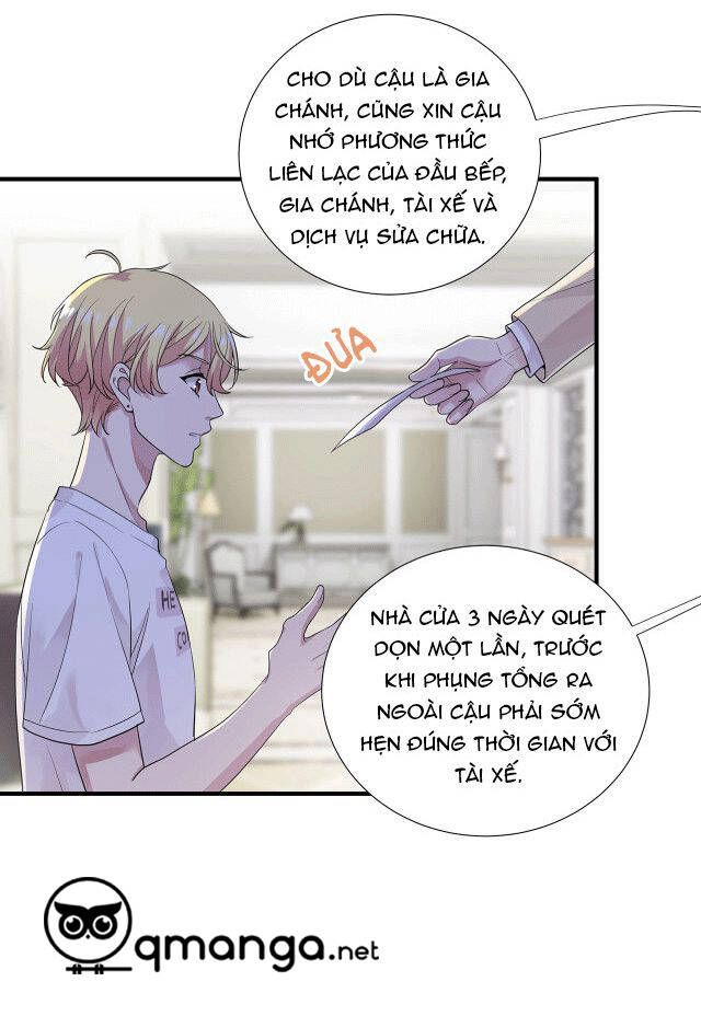 Những Ngày Tháng Sống Chung Với Tổng Tài Chương 12 Page 8