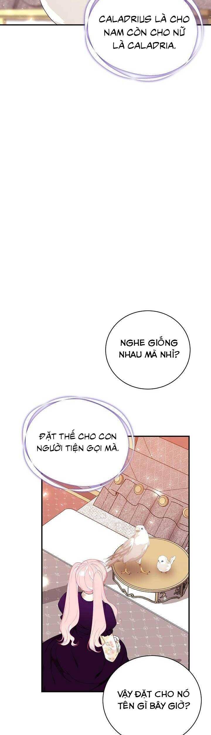 Tôi Chỉ Đi Tìm Cha Thôi Chương 55 Page 56