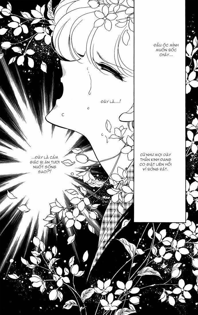 Ao No Fuuin – Blue Seal Chương 47 Page 4