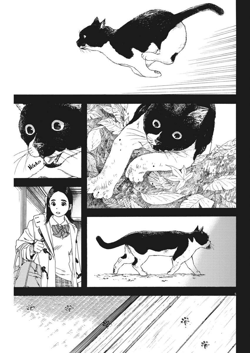 Neko No Otera No Chion-San Chương 68 Page 6