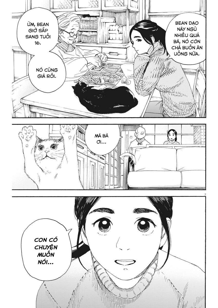 Neko No Otera No Chion-San Chương 68 Page 8