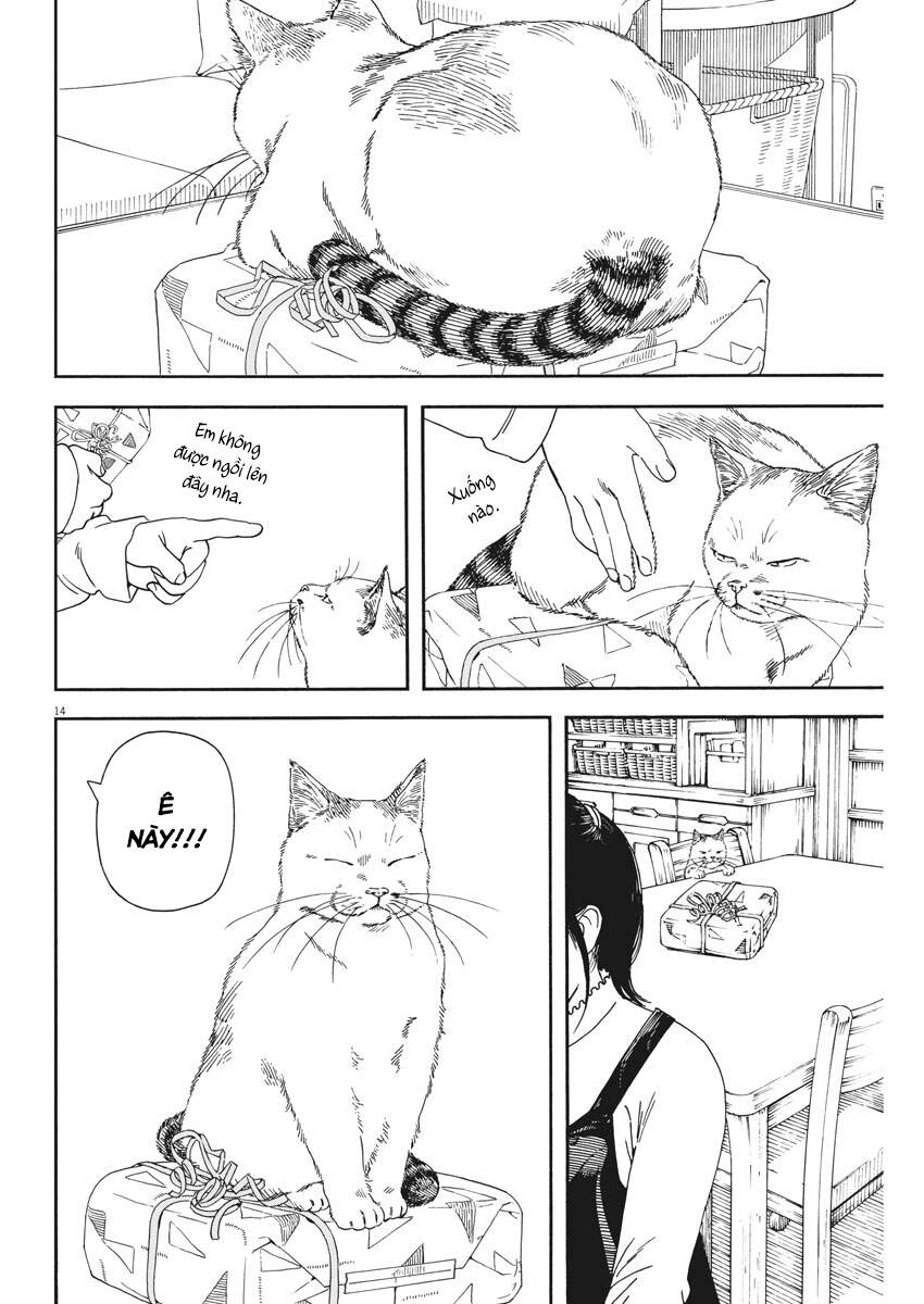 Neko No Otera No Chion-San Chương 71 Page 17