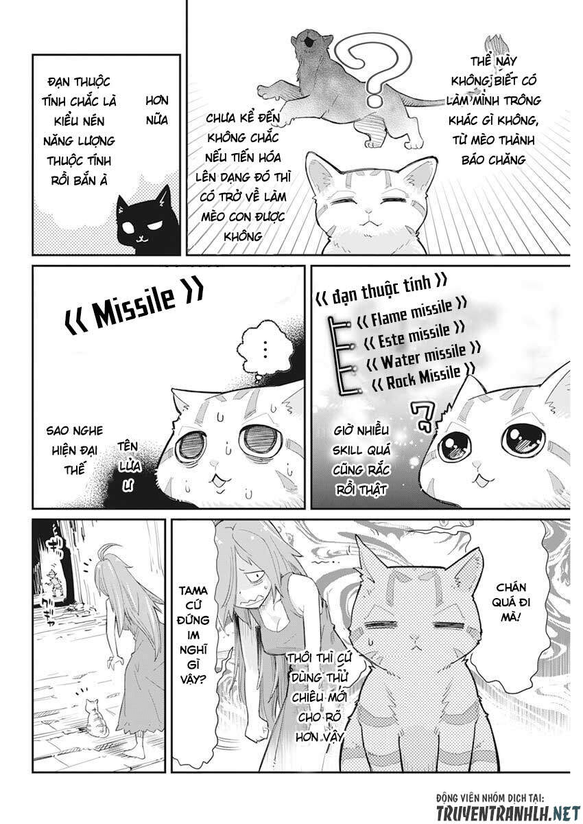 I Am Behemoth Of The S Rank Monster But I Am Mistaken As A Cat And I Live As A Pet Of Elf Girl Chương 39 Page 10