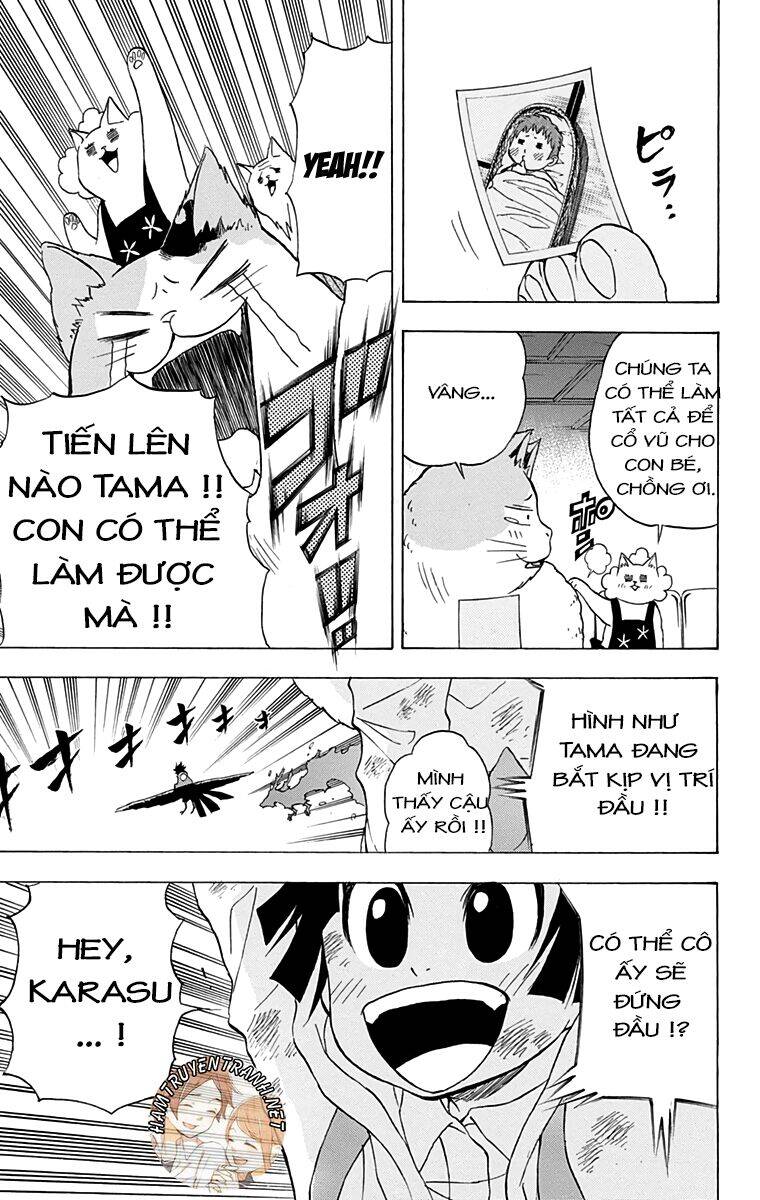 Nekowappa! Chương 12 Page 8