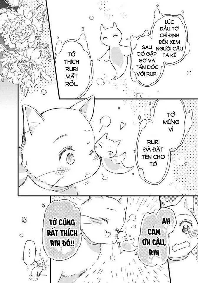 Fukushuu Wo Chikatta Shironeko Wa Ryuuou No Hiza No Jou De Damin Wo Musaboru Chương 15 Page 24