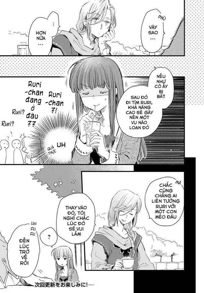 Fukushuu Wo Chikatta Shironeko Wa Ryuuou No Hiza No Jou De Damin Wo Musaboru Chương 17 Page 23