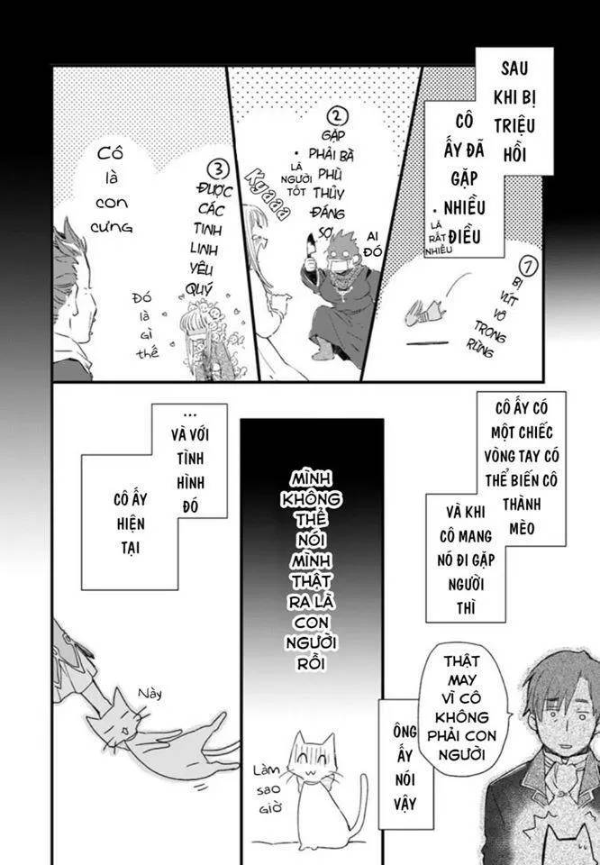 Fukushuu Wo Chikatta Shironeko Wa Ryuuou No Hiza No Jou De Damin Wo Musaboru Chương 17 Page 4