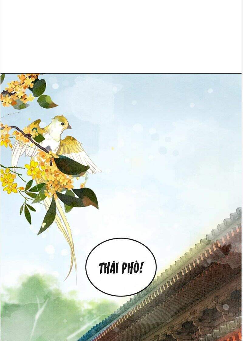 Hậu Cung Của Trẫm Cháy Rồi! Chương 77 Page 3