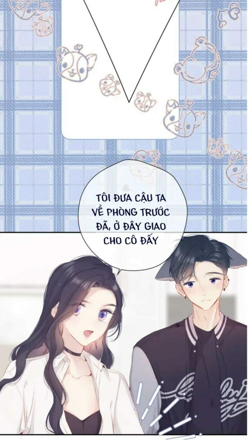 Đừng Để Tôi Bảo Vệ Chương 132 Page 9