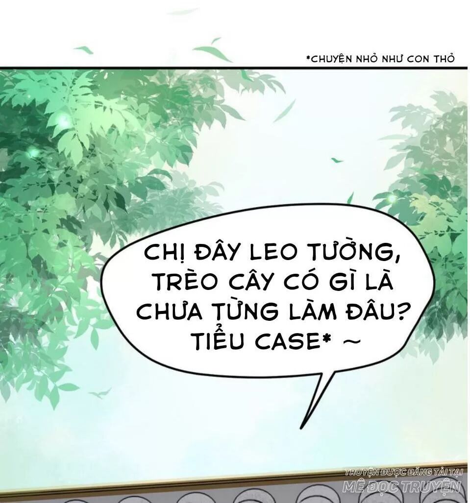 Luôn Có Điêu Dân To Gan Muốn Hại Trẫm Chương 14 Page 42