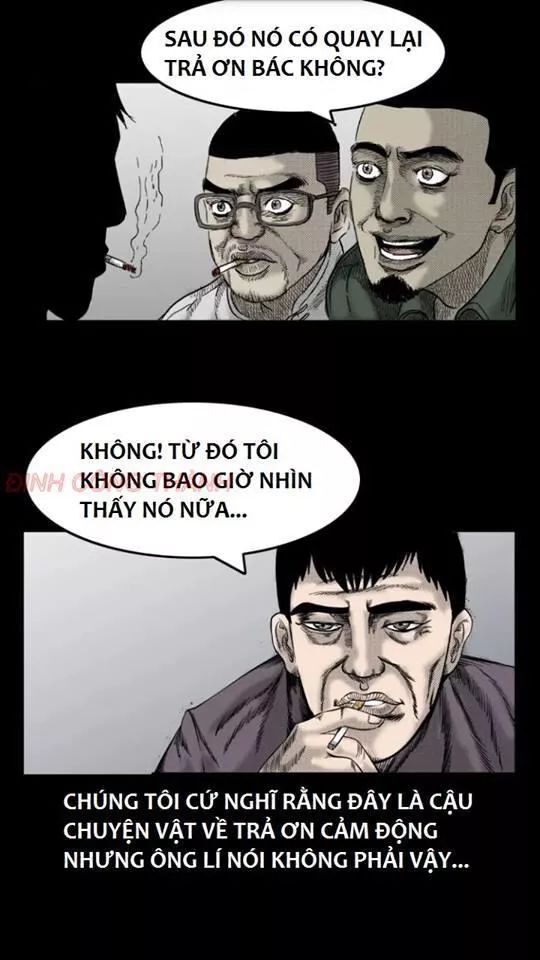 Thầy Súng Kể Chuyện Ma Chương 36 Page 10