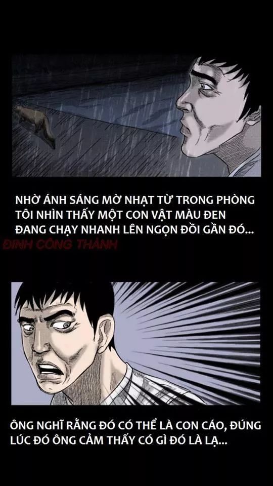 Thầy Súng Kể Chuyện Ma Chương 36 Page 15