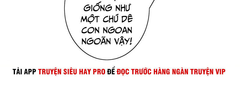 Hộ Hoa Cao Thủ Tại Đô Thị Chương 132 Page 16