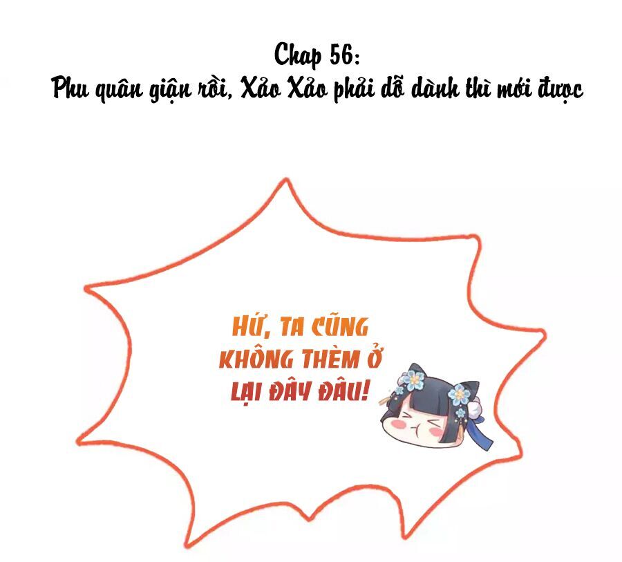 Phú Bà Bạc Tỷ Trong Lãnh Cung Chương 56 Page 3